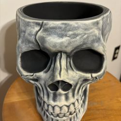 Skull Planter - Cement Mixture