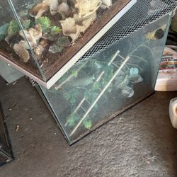 15 Tanks Plus What They Come With