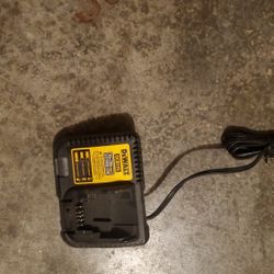 20v Charger(s)