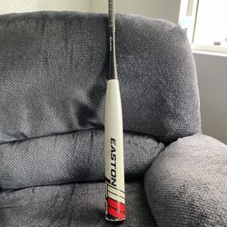 Easton Baseball Bat  ( 28 ) WT