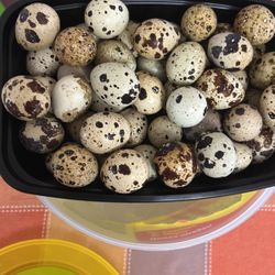 Quail Eggs