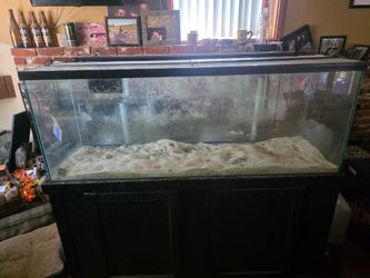 100 gal fish tank