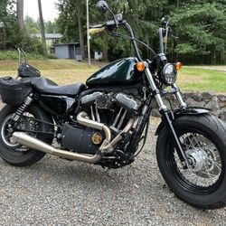 2010 Harley Davidson Forty-eight