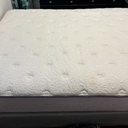 Queen Mattress And Box Spring Together 