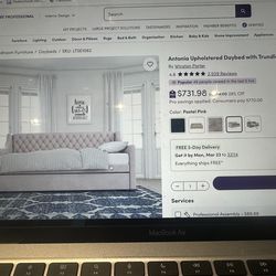 Pink twin bed with trundle