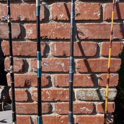 Conventional Fishing Rods