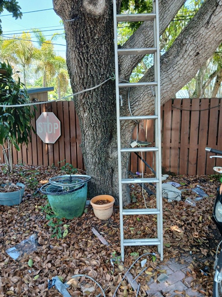 Ladders