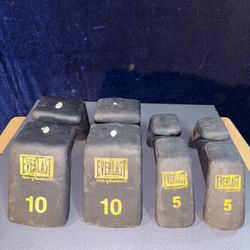 10 and 5 lb Dumbbells with Handles 