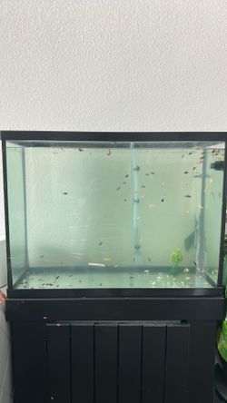 40 g aquarium and stand for sale