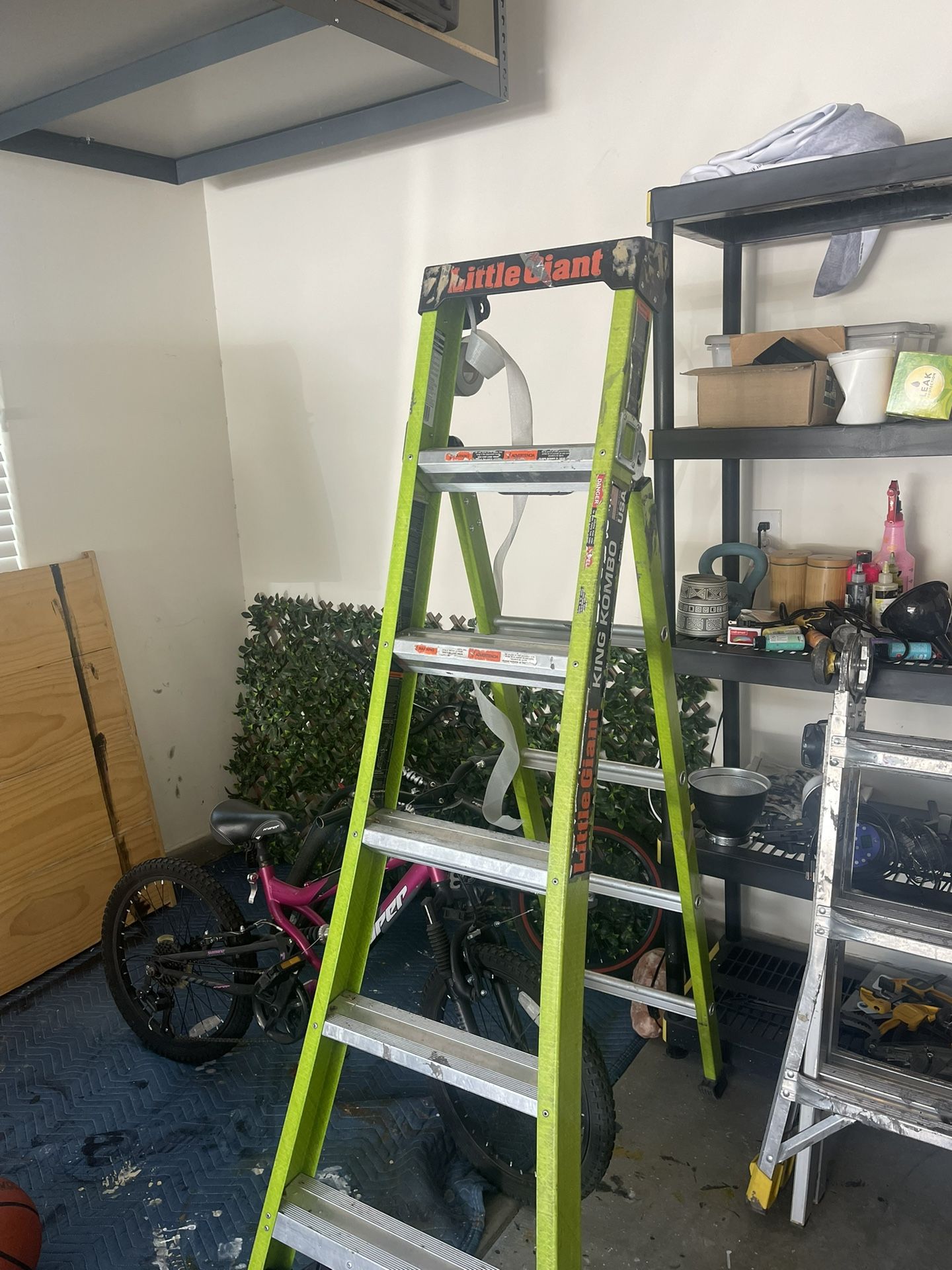 Little Giant ladder