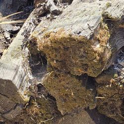 FREE RAILROAD TIES PICK UP ONLY