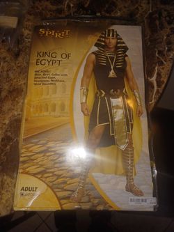 Halloween Costume: King Of Egypt (Medium Men's)