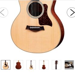 Taylor GS Mini