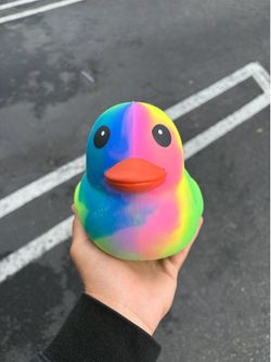 Squishy Duck