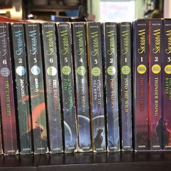 Massive Beginner Novel Collection