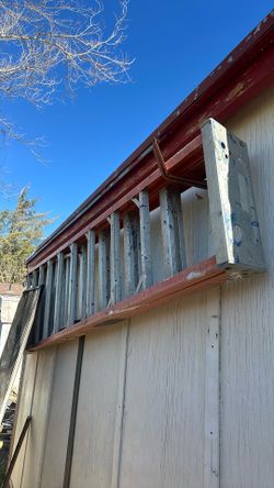 Werner Electro-máster Ladder 10ft. $ 60 Bucks