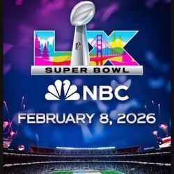 Patriots vs Seahawks 