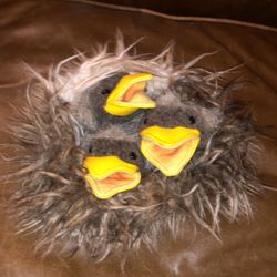 Folkmanis Baby Birds In Nest Hand Puppet