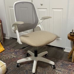 Office Chair / Rolling Chair 