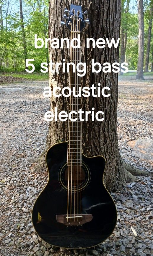 Brand New 5 String Acoustic Electric Bass Guitar