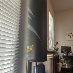 Everlast Punching Bag