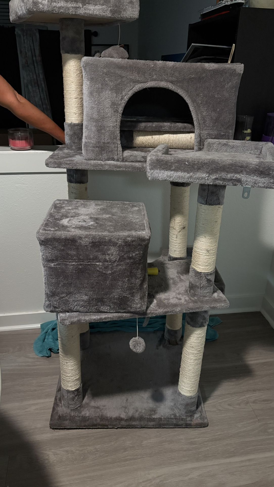 Cat Tree