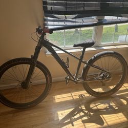Giant 26 Inch Custom  Or Trades 
