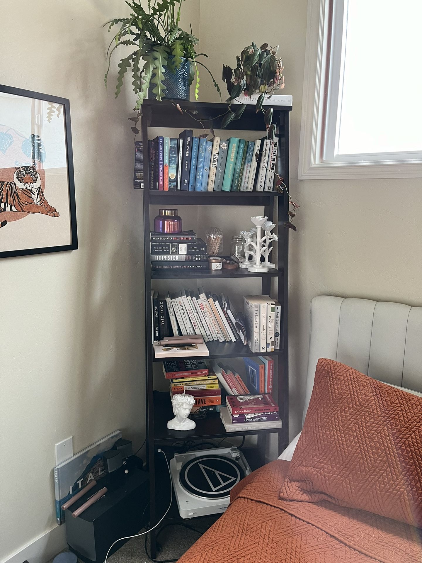 Ladder Shelf 