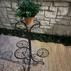 Plant Stand 