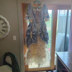 Cinderella Dress Costume Very Realistic Well Made