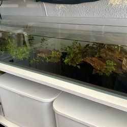 Aquarium/ Fish Tank