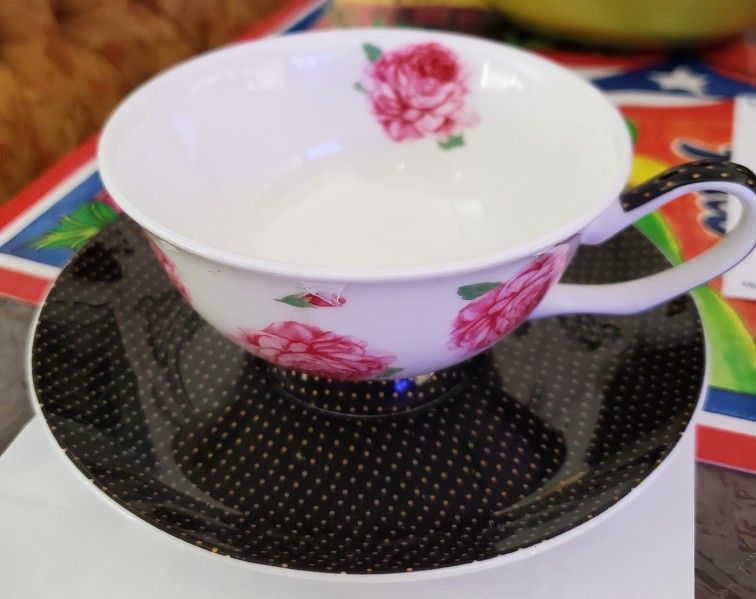 Stechol Gracie Cup And Saucer