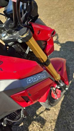 2017 Honda grom