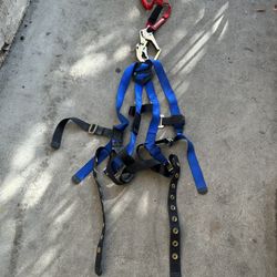 Safety Harness