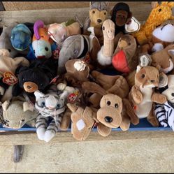  TY Beanie Baby, Variety , Collectables $80 Lot 41 Pieces