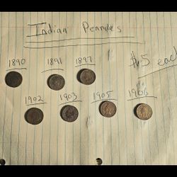 INDIAN HEAD COPPER WHEAT PENNIES: 7 PENNIES, 1(contact info removed), $5 EACH, 