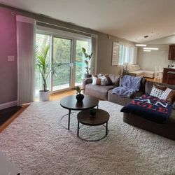 Carpet Beige 8’-6’’x 12’