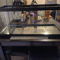 Fish Tank 