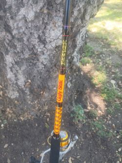 Ugly stick bigwater 9ft rod. With okuma avenger 8000 reel