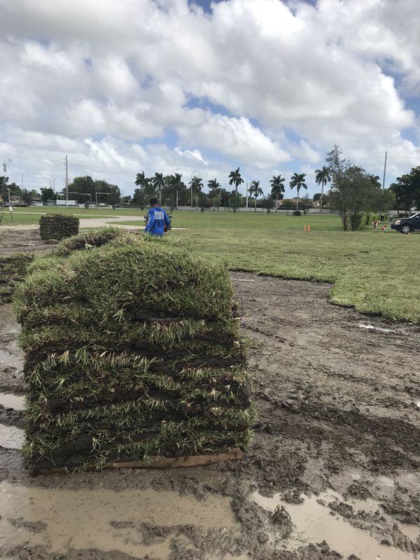 St Augustine Grass 250 pallet of sod , delivery and installation available for Sale in Miami