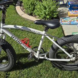 Mountain Bike Fat Tire Kids Bike 