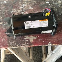 Century 3 Phase Pool Pump Motor (3 HP)