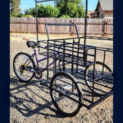 Custom Bikes