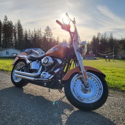 2014 Harley-Davidson FLSTF