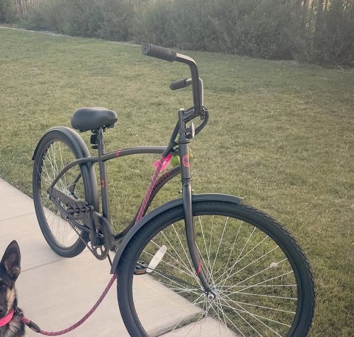 26” Cruiser Black