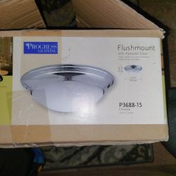 Ceiling LIGHT Flushmount