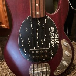 Stingray Bass, Professionally Defretted.