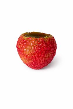 Cute Lychee Fidget Pop Toy Stress Relief Sensory Toy