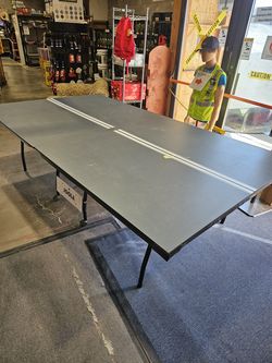 Ping Pong Table