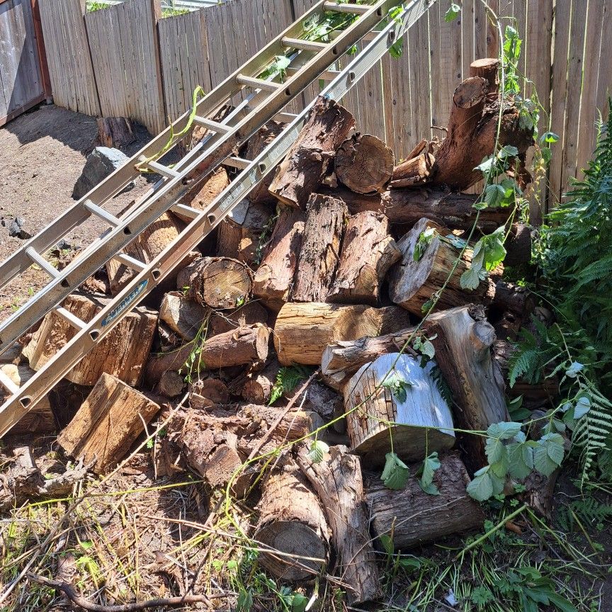 FREE Cured Firewood 